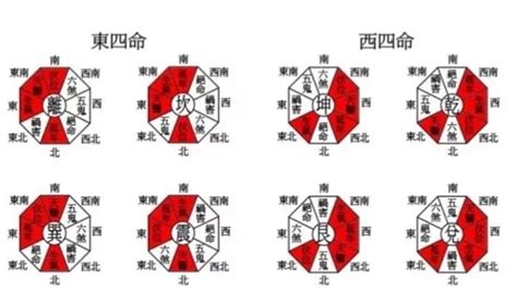 東四命查詢|八宅風水：東西四命詳解